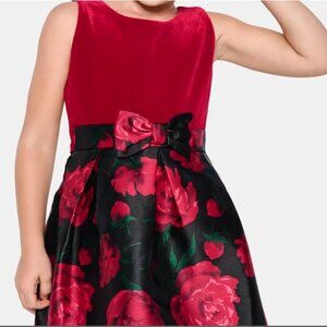 NWT The Children’s Place Toddler Girls Floral Velour Fit a Flare Dress - berry